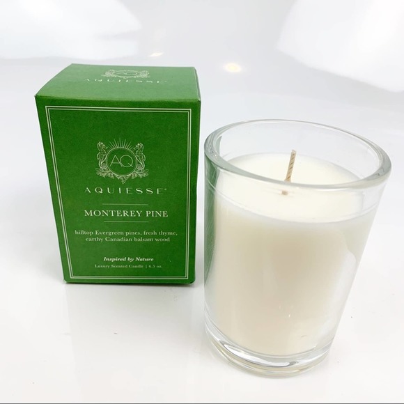 AQUIESSE Accents Nib Aquiesse Monterey Pine Candle 65oz Poshmark